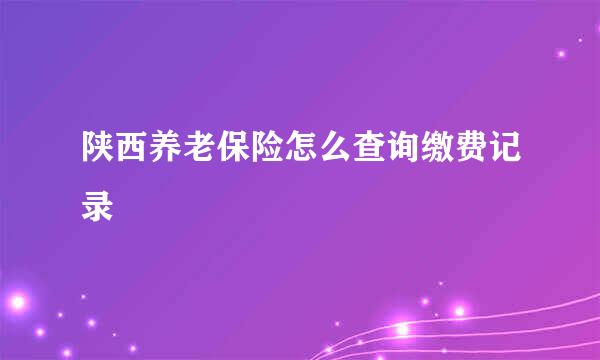陕西养老保险怎么查询缴费记录