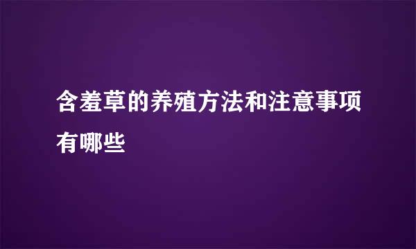 含羞草的养殖方法和注意事项有哪些