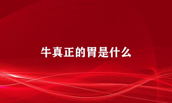 牛真正的胃是什么