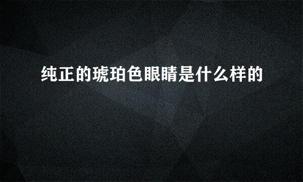 纯正的琥珀色眼睛是什么样的
