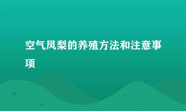 空气凤梨的养殖方法和注意事项