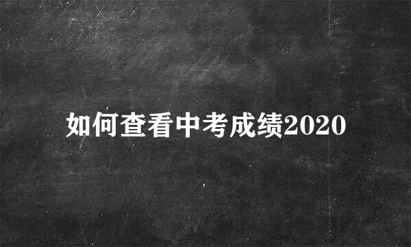 如何查看中考成绩2020
