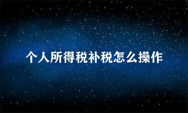 个人所得税补税怎么操作