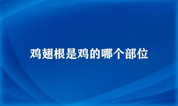 鸡翅根是鸡的哪个部位