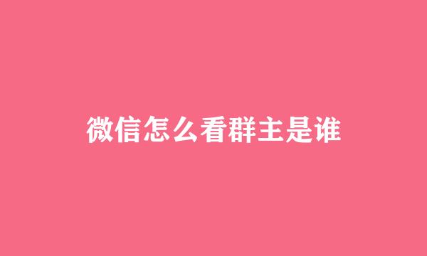 微信怎么看群主是谁