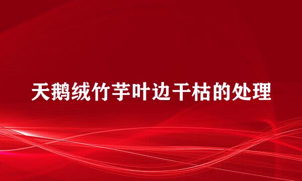 天鹅绒竹芋叶边干枯的处理