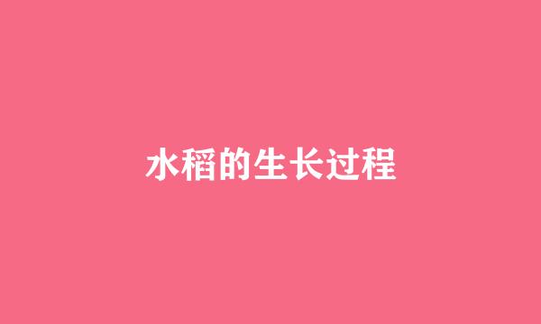 水稻的生长过程
