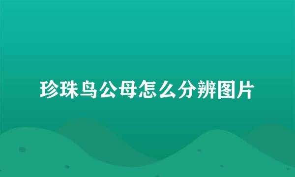 珍珠鸟公母怎么分辨图片