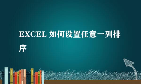 EXCEL 如何设置任意一列排序
