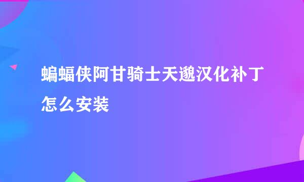 蝙蝠侠阿甘骑士天邈汉化补丁怎么安装