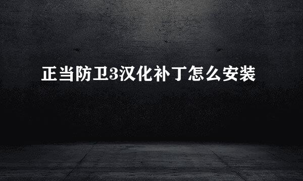 正当防卫3汉化补丁怎么安装