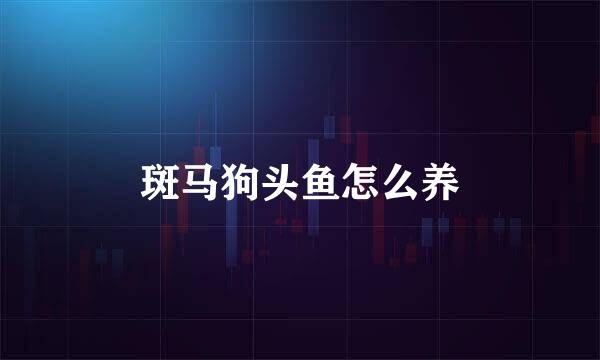 斑马狗头鱼怎么养