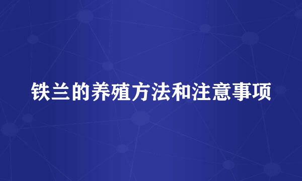 铁兰的养殖方法和注意事项