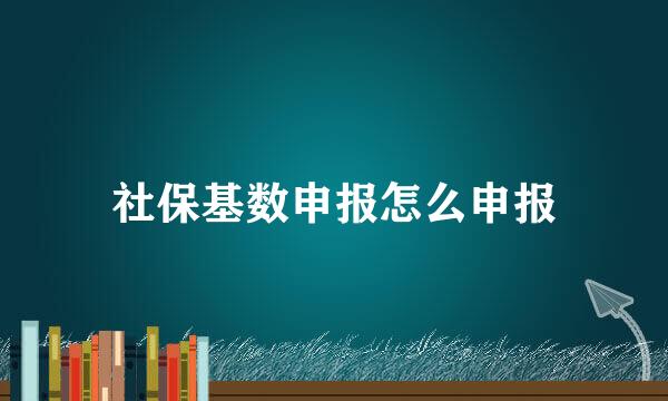 社保基数申报怎么申报