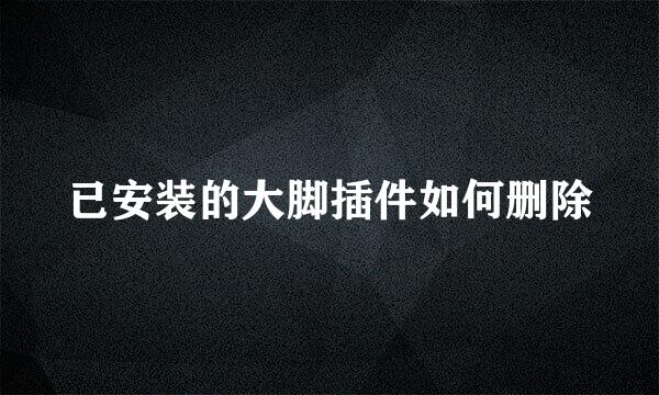 已安装的大脚插件如何删除