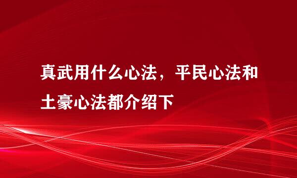 真武用什么心法，平民心法和土豪心法都介绍下