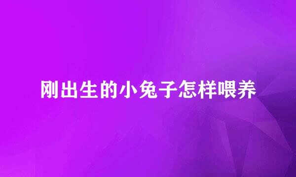 刚出生的小兔子怎样喂养