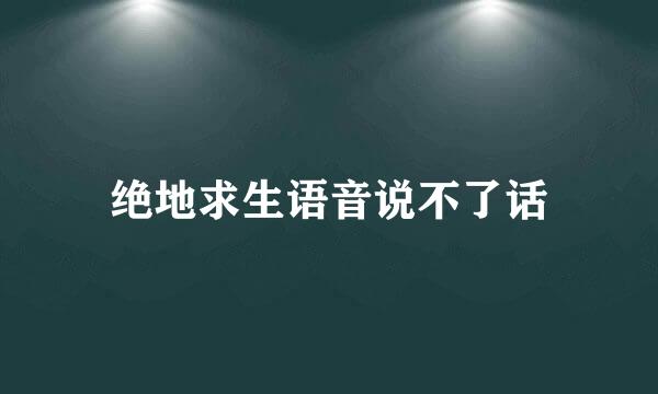 绝地求生语音说不了话