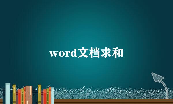 word文档求和