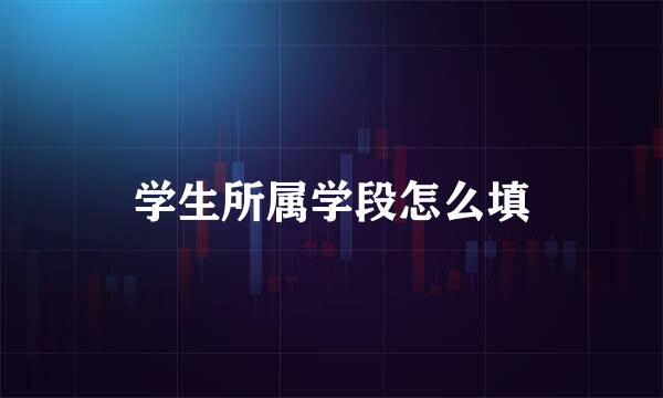 学生所属学段怎么填