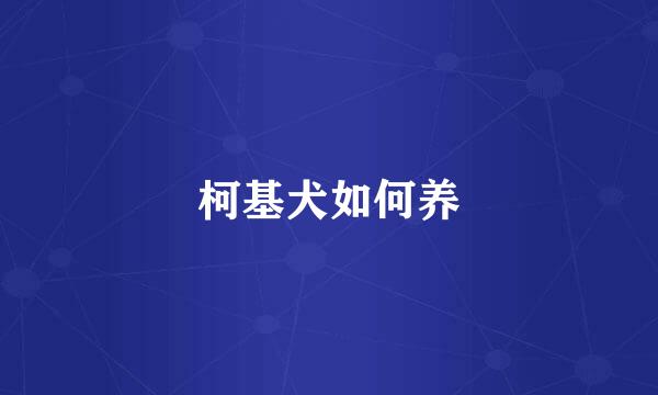 柯基犬如何养