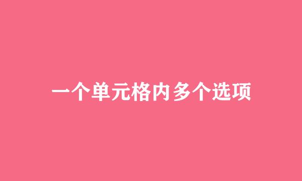 一个单元格内多个选项