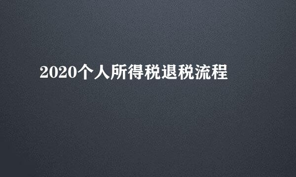 2020个人所得税退税流程
