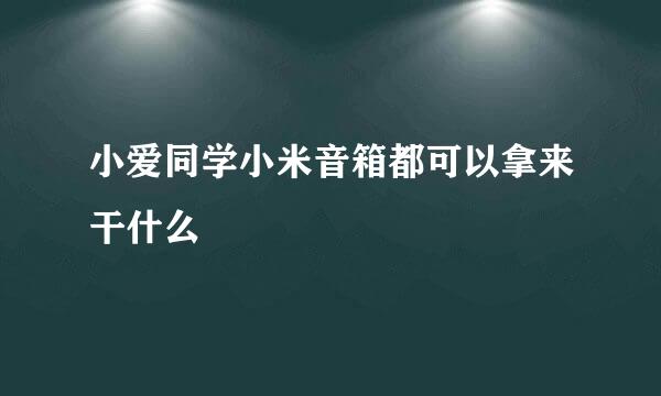 小爱同学小米音箱都可以拿来干什么