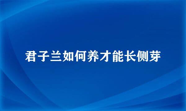 君子兰如何养才能长侧芽