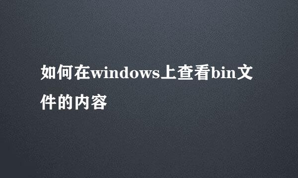 如何在windows上查看bin文件的内容