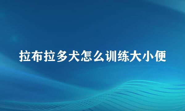 拉布拉多犬怎么训练大小便