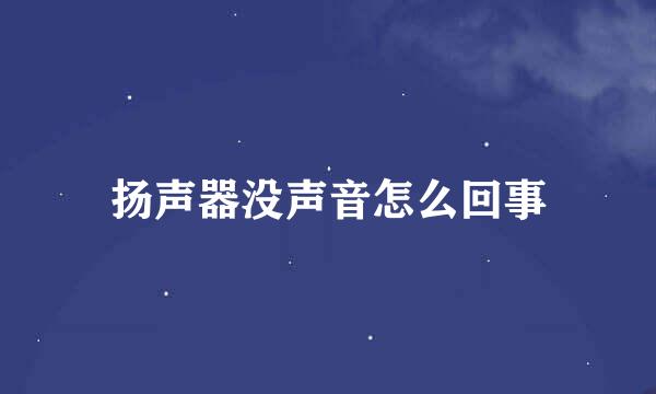 扬声器没声音怎么回事