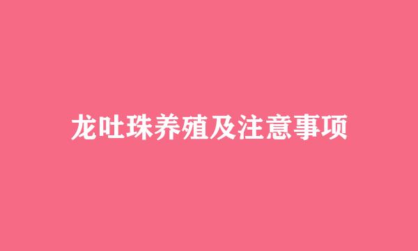 龙吐珠养殖及注意事项