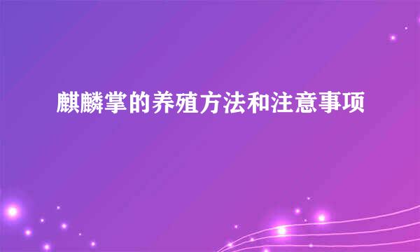 麒麟掌的养殖方法和注意事项