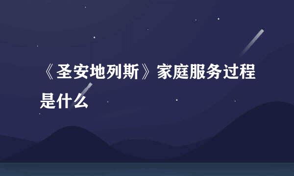 《圣安地列斯》家庭服务过程是什么