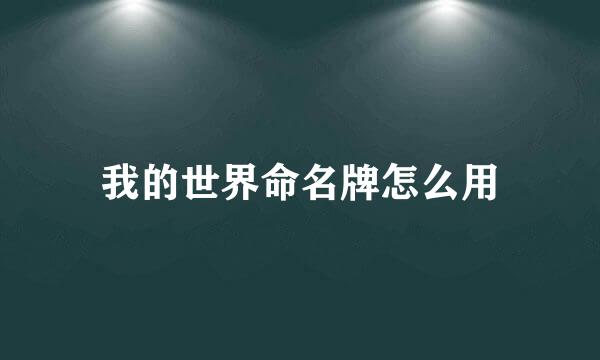 我的世界命名牌怎么用