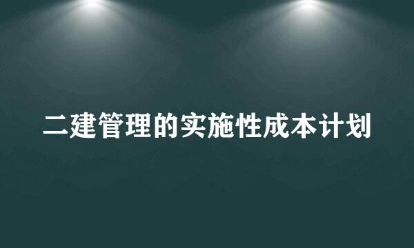 二建管理的实施性成本计划