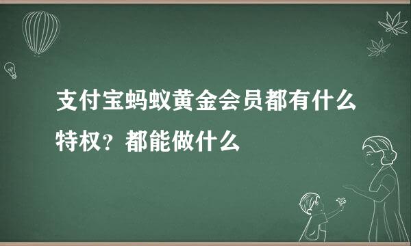 支付宝蚂蚁黄金会员都有什么特权？都能做什么