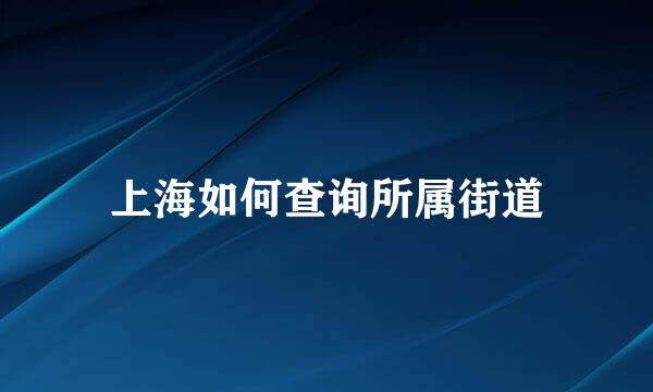 上海如何查询所属街道