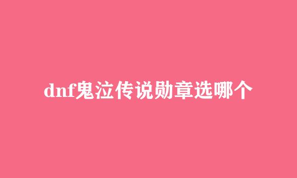 dnf鬼泣传说勋章选哪个