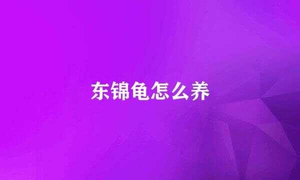 东锦龟怎么养