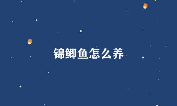 锦鲫鱼怎么养