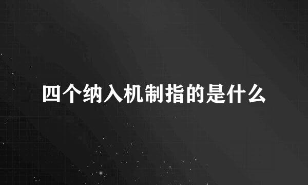 四个纳入机制指的是什么