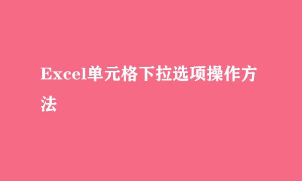 Excel单元格下拉选项操作方法