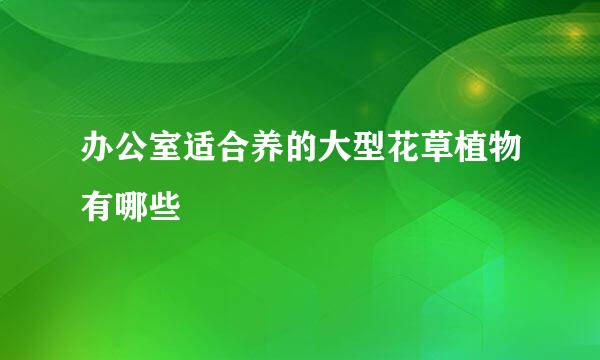 办公室适合养的大型花草植物有哪些