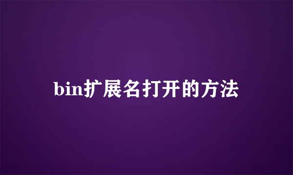 bin扩展名打开的方法