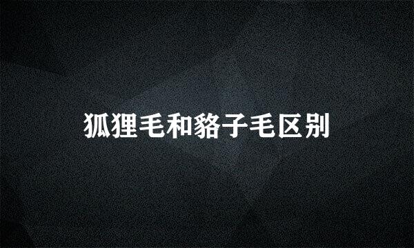 狐狸毛和貉子毛区别