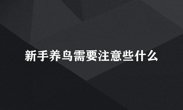 新手养鸟需要注意些什么