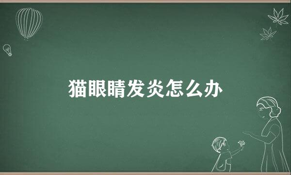 猫眼睛发炎怎么办