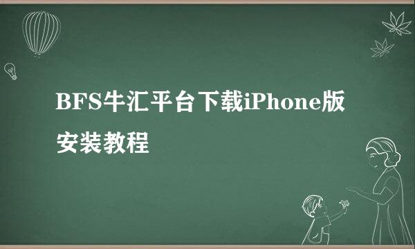 BFS牛汇平台下载iPhone版安装教程
